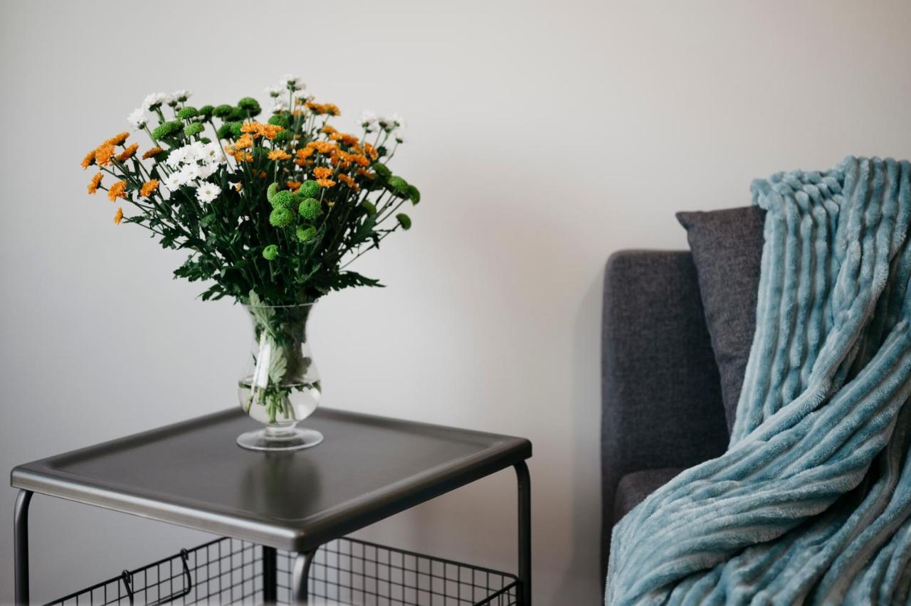 Nocosfera Apartament Serbinow Kalisz  Luaran gambar