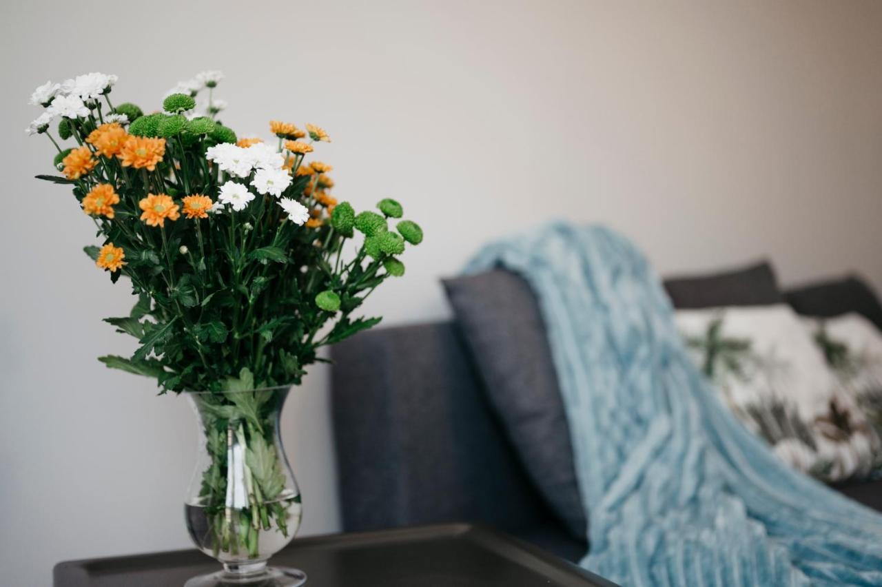 Nocosfera Apartament Serbinow Kalisz  Luaran gambar